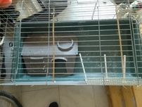 Gaiola para Pássaros