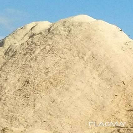 Тирса соснова постійно