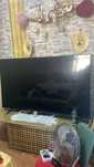 Venda de tv Samsung 75 polegadas