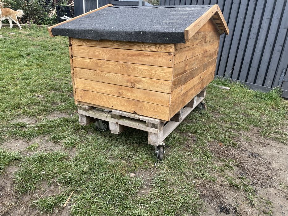 Buda dla psów, podwójna