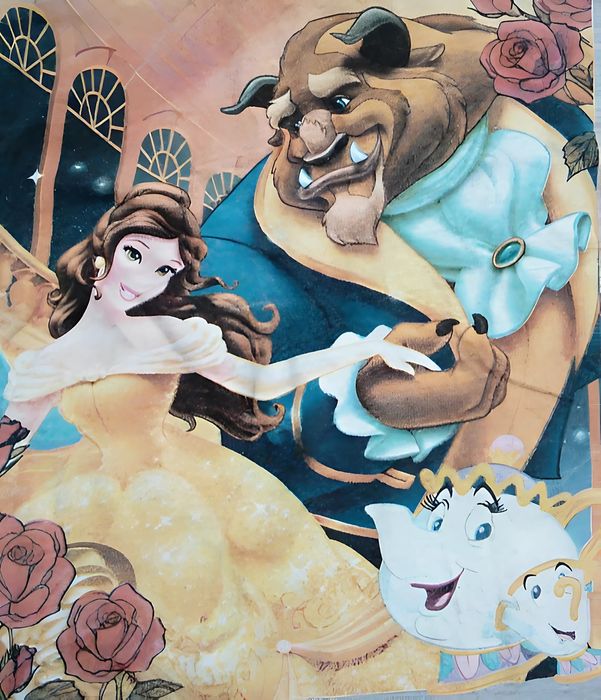 Красавица и чудовище женская футболка