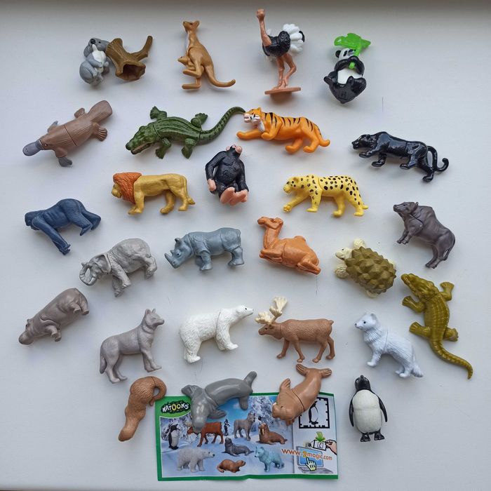 Полярні тварини, Африканські тварини, тварини півдня, Кіндер натунс