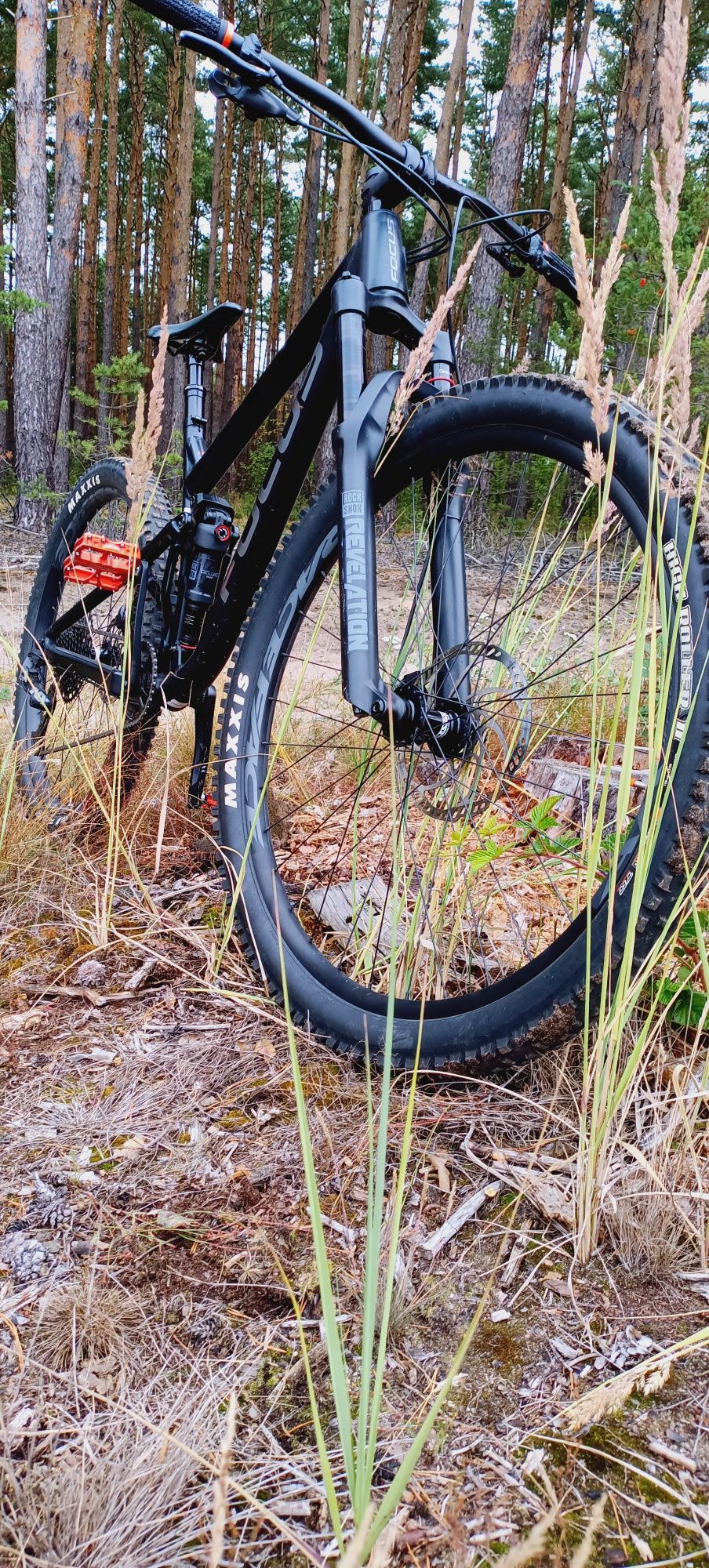 Focus enduro  MTB Super stan.