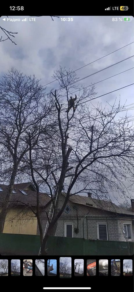 Обрезка, Спил аварийных деревьев Днепр