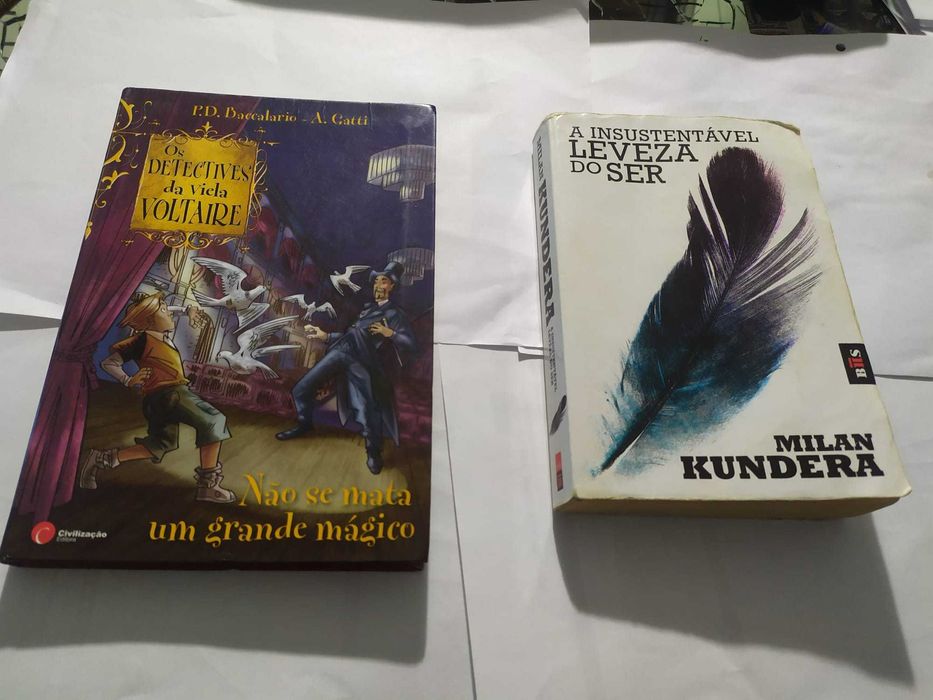 Livro Os Detectives da Viela Voltaire