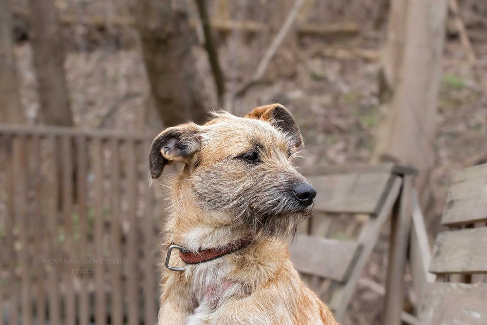 Справжня Бендерочка шукає родину