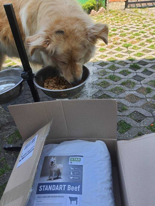 Преміум корма для ваших хвостиків від StarDeyl!