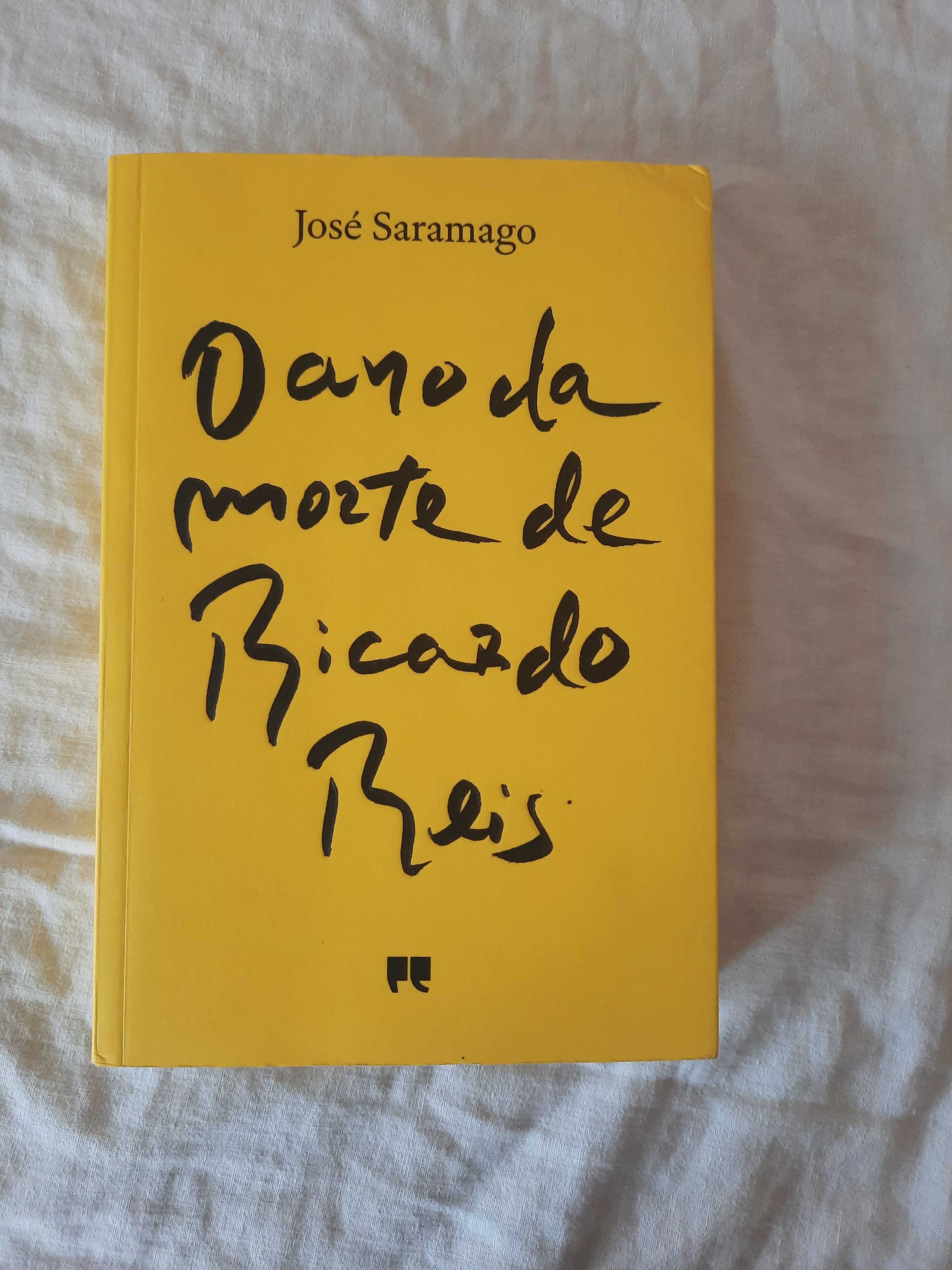 O Ano da Morte de Ricardo Reis