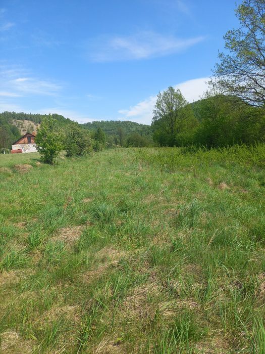 Продається земельна ділянка в с Пнів( Печищі)