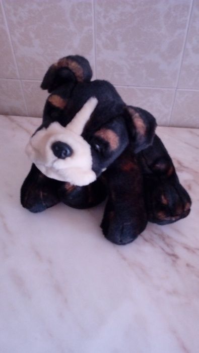 Cão de Peluche