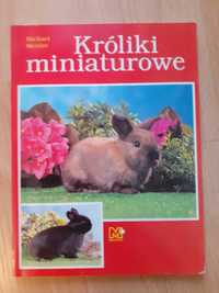 Króliki miniaturowe - poradnik