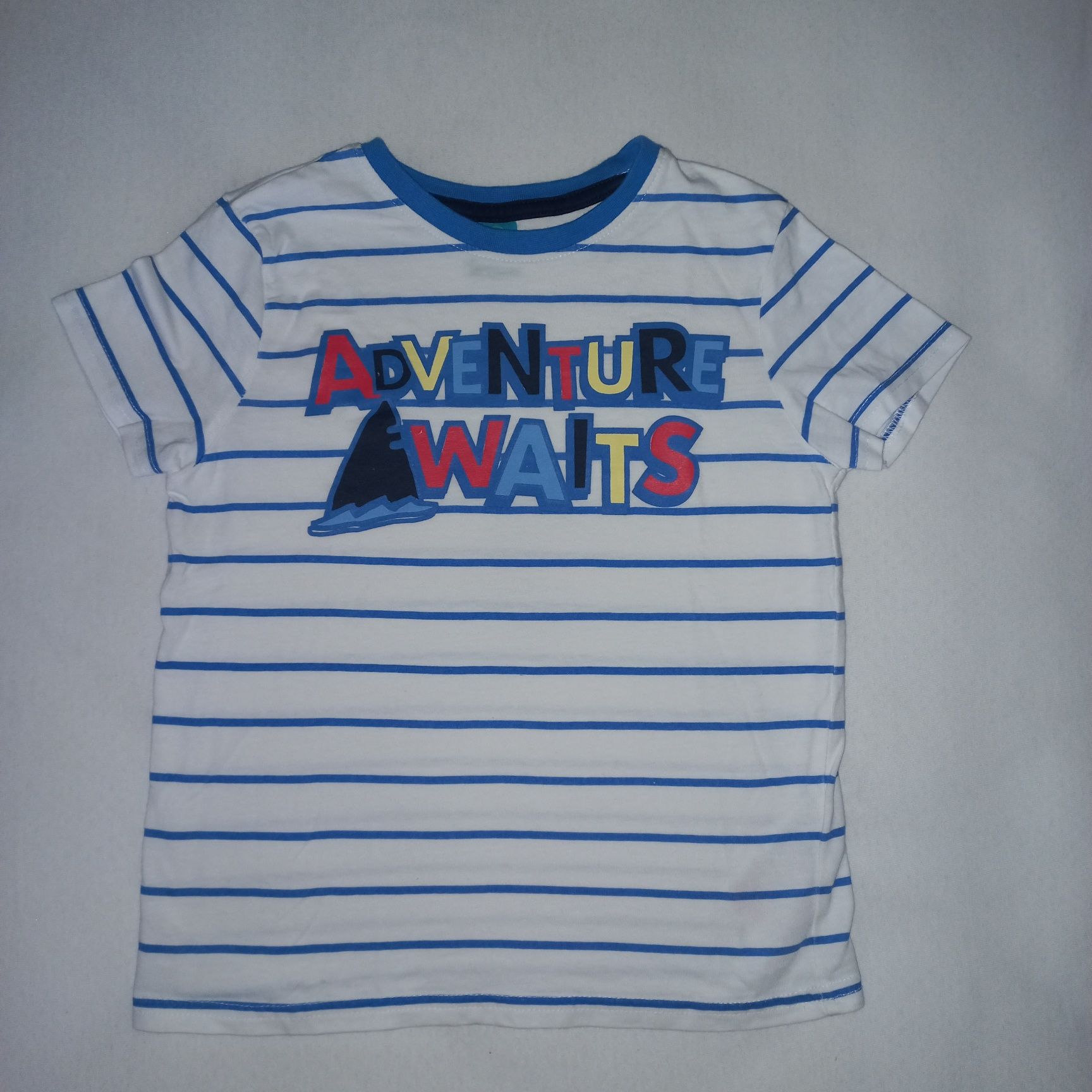 T-shirt dla chłopca roz.110 Pepco