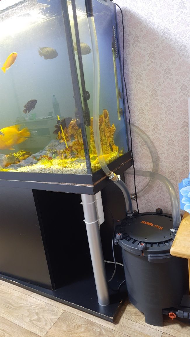 Продам фильтр Fluval fx5!! Торг. Обмен