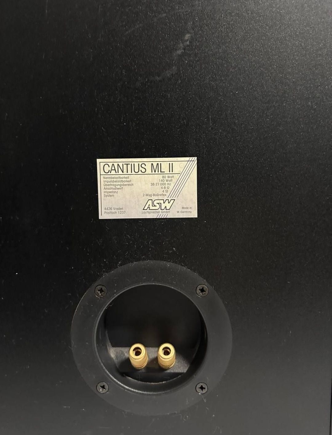 Kolumny ASW Cantius ML 2, 80/120 Wat!