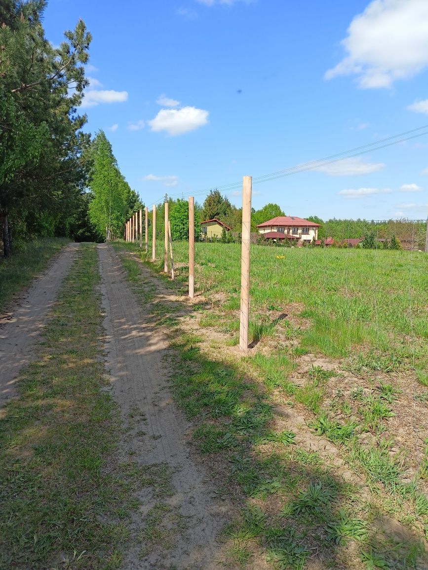 Ogrodzenie budowlane Tymczasowe ogrodzenie leśne