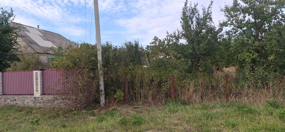 Продам будинок Ольшаниця Київська область