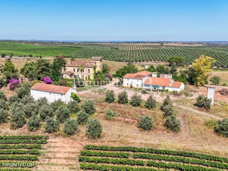 Solar Histórico com Vinha e Potencial Turístico