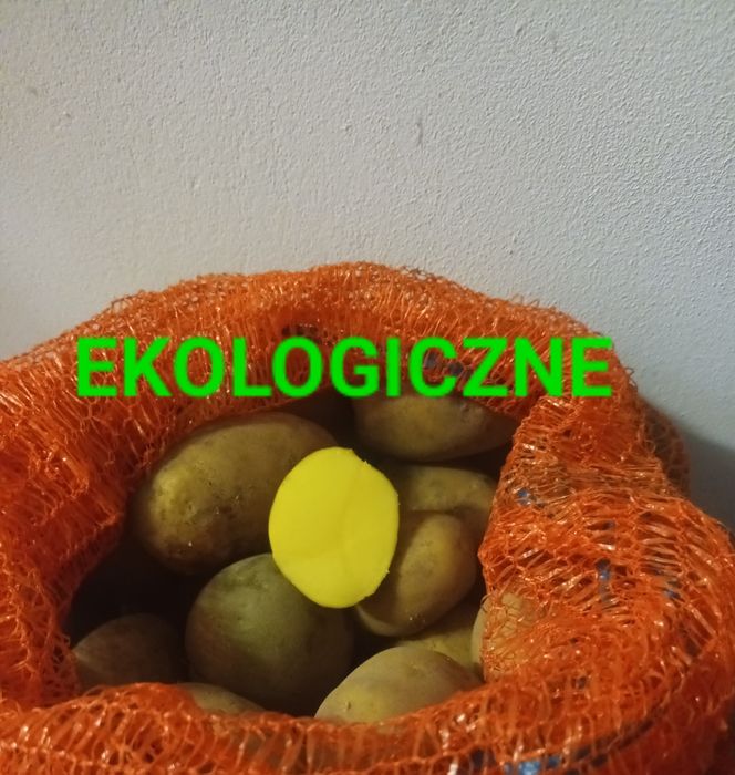 Ziemniaki 25kg Soraya od Rolnika Ekologiczne Wysyłka
