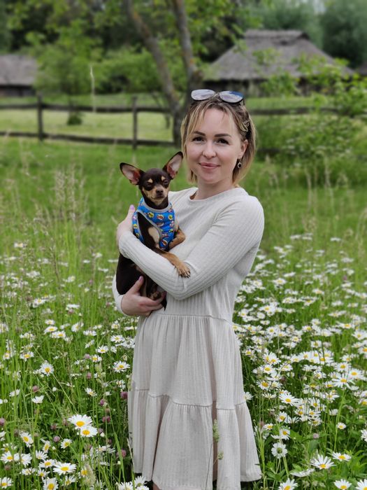 Злучка в'язка той терєра