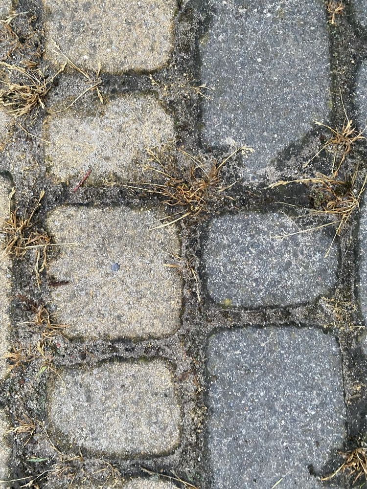 Mycie/Czyszczenie Kostki Brukowej ŻNIN, WRZESNIA, GNIEZNO, OKOLICE,