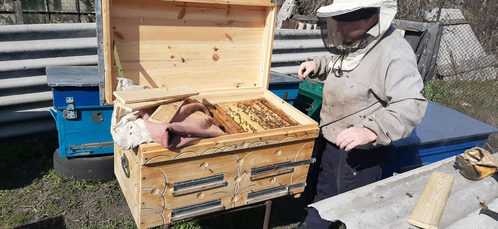 Продам пчелопакеты