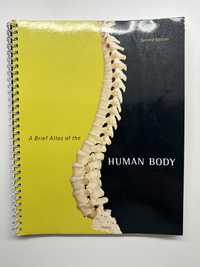 A Brief Atlas of the Human Body