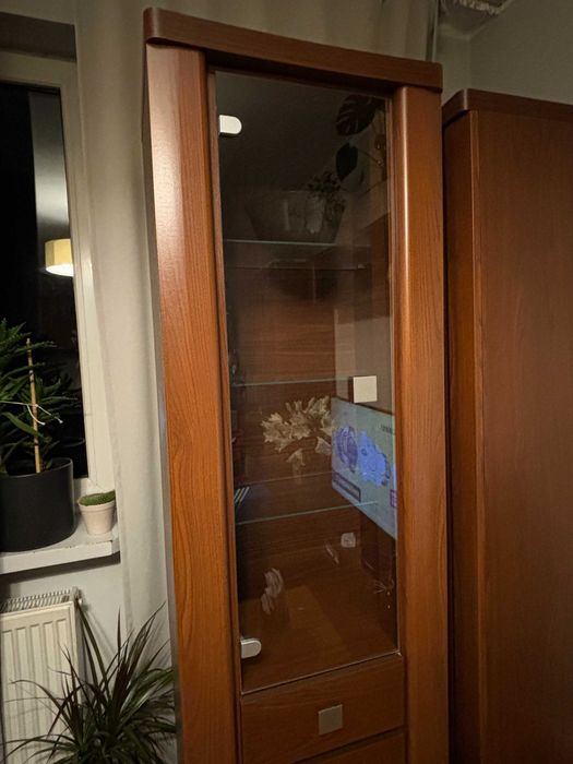 Witryna salonowa drewniana