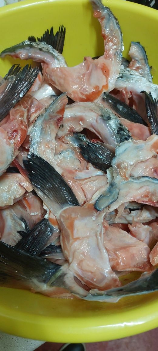 Продам обрезь свежайшего лосося по супер цене!!!