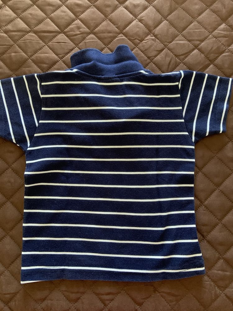 Polo menino 4 anos Lacoste