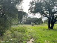 Terreno  para venda