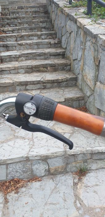 Англійський класичний  ровер.