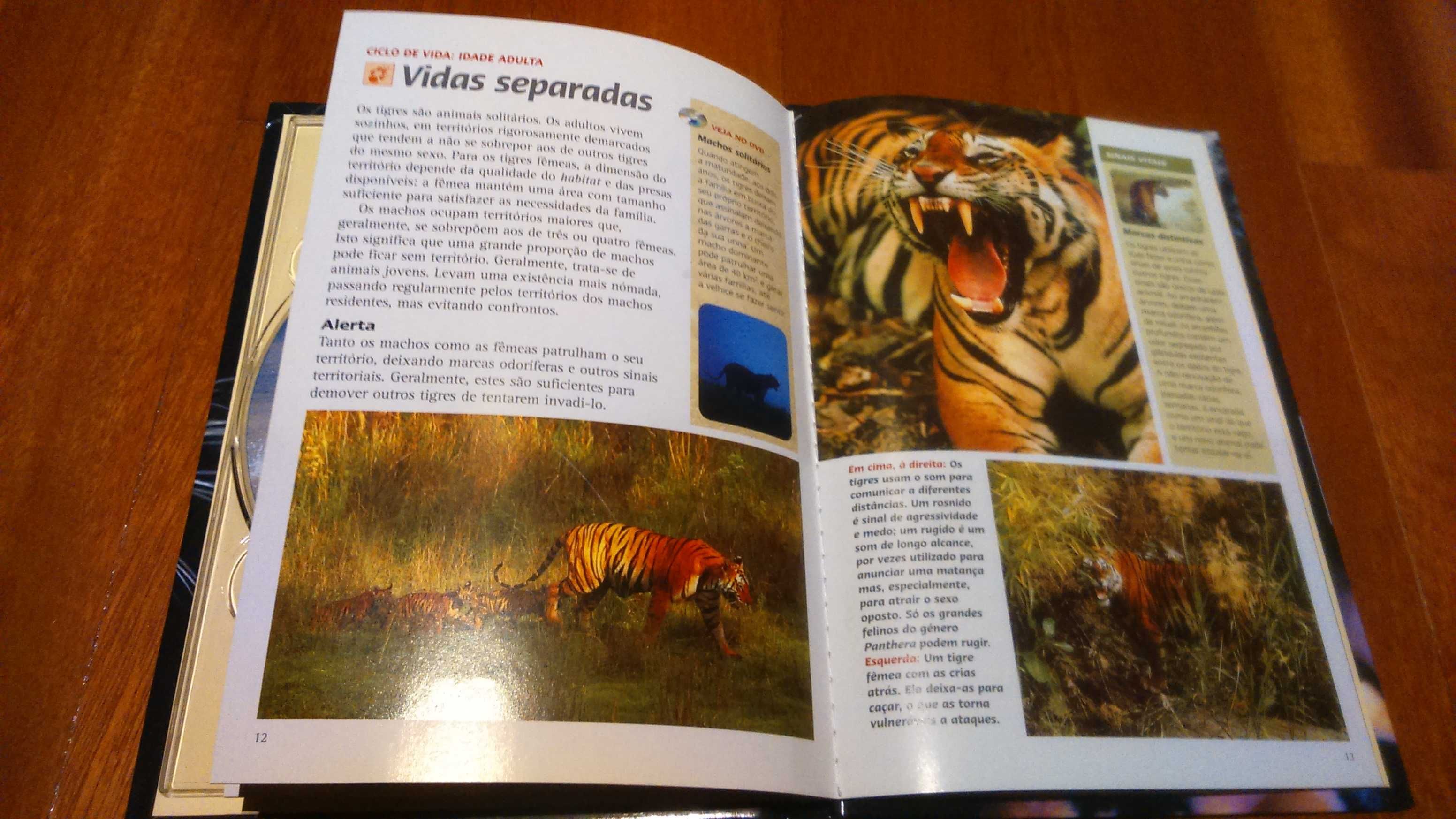 Tigres dos Pântanos - DVD Original + Livro