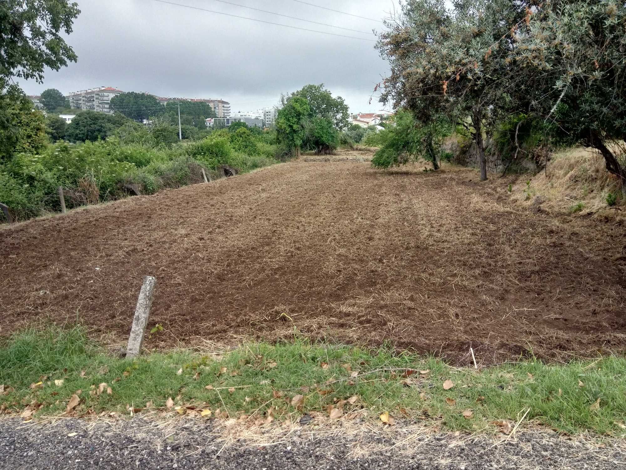 Terreno rústico perto de Viseu
