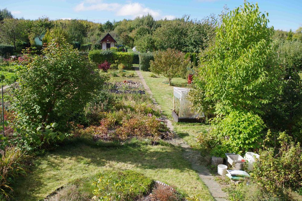 Działka Jamno ROD "Kwitnących jabłoni" z dużym potencjałem