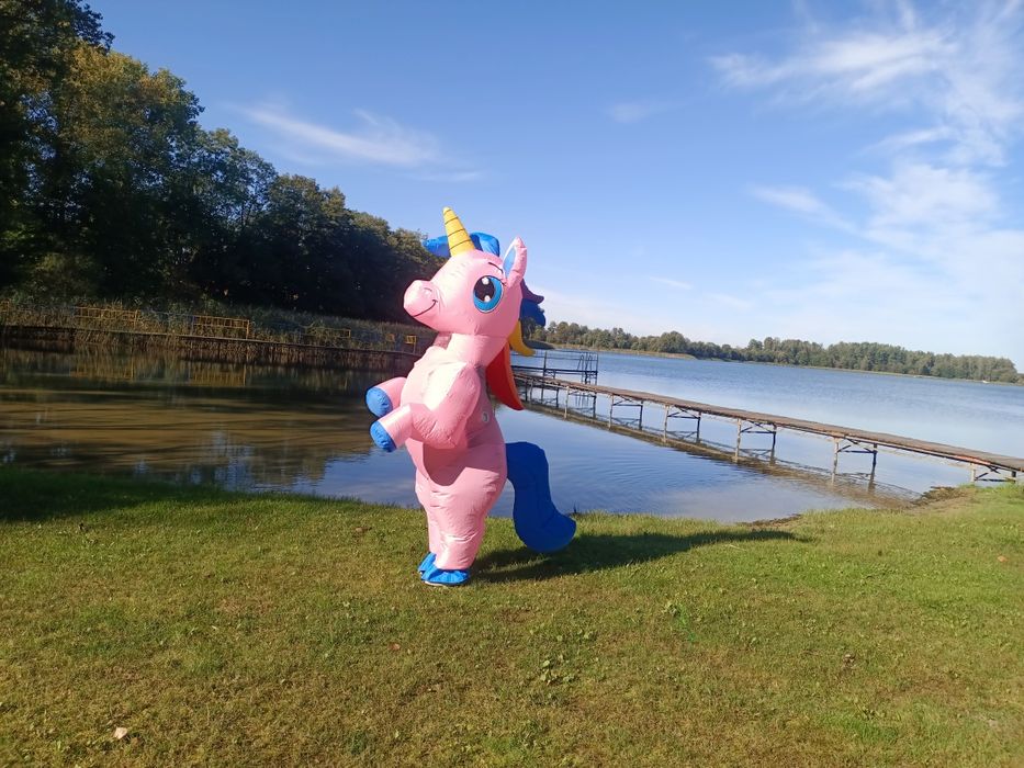 Sprzedam kostiumy dmuchane nowe