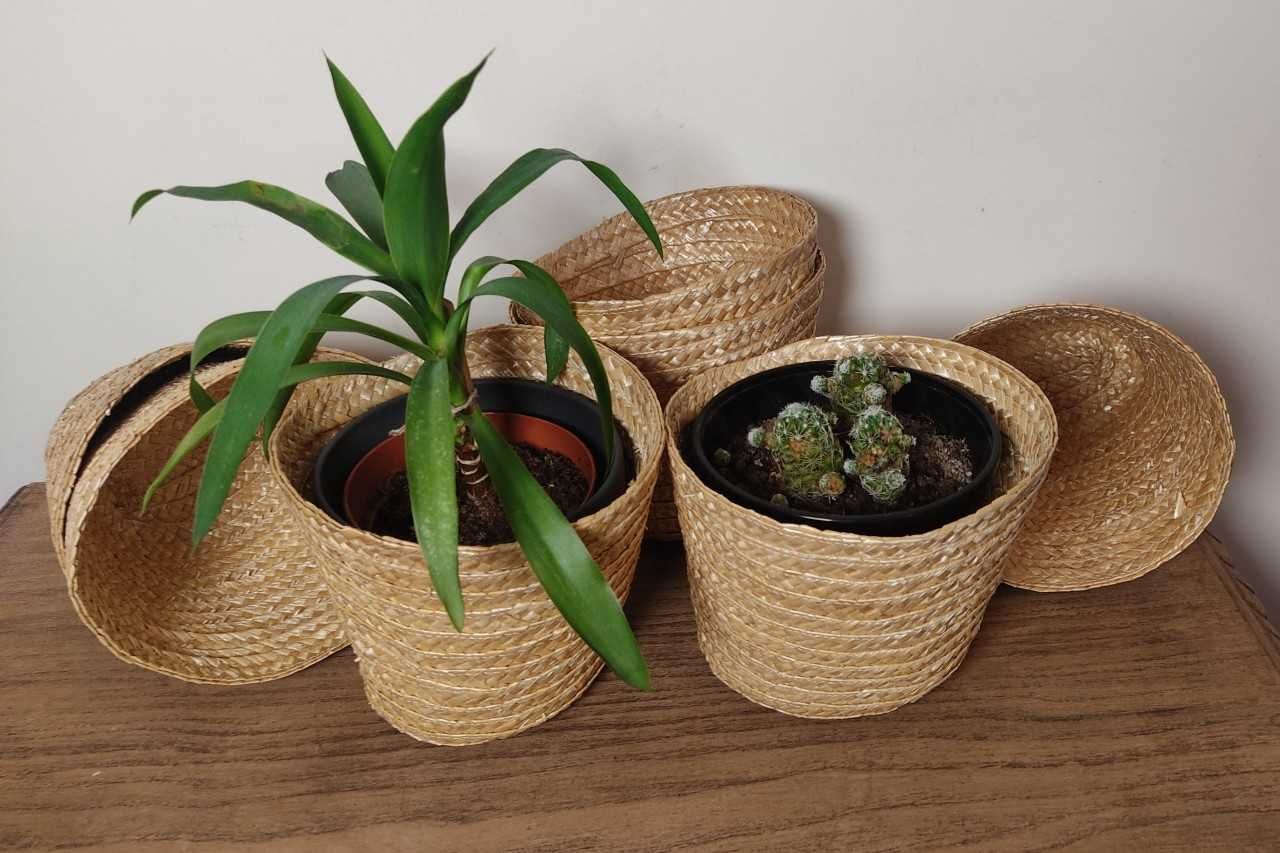 Cestinhas decorativos artesanais