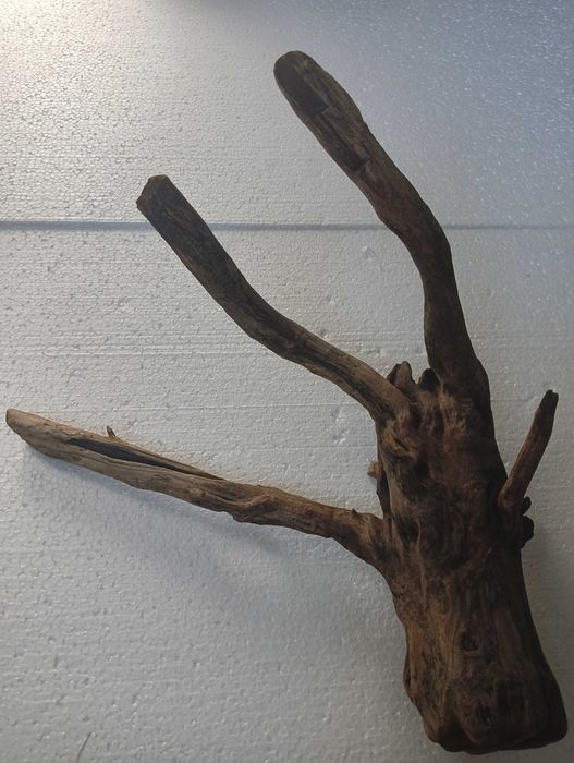 Коряга, топняк, декор в аквариум, тераріум середнього і більше розміру