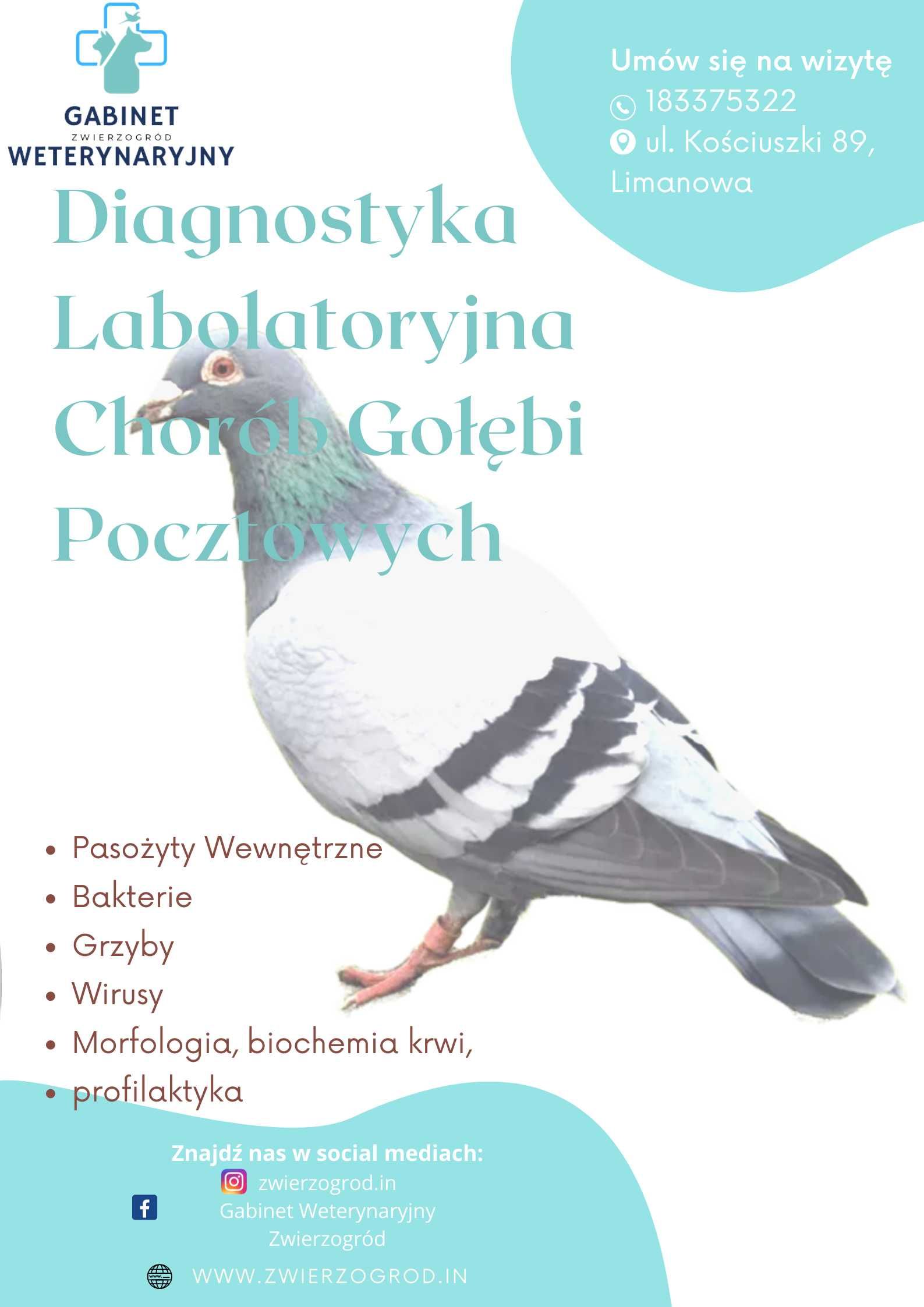 TJW ProKox 700g – przeciw kokcydiozie i infekcjom bakteryjnym u gołębi