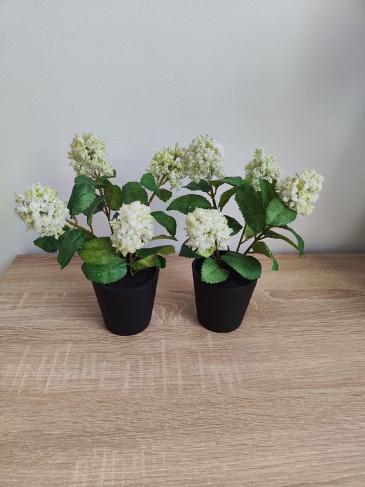 Rośliny sztuczne Jysk