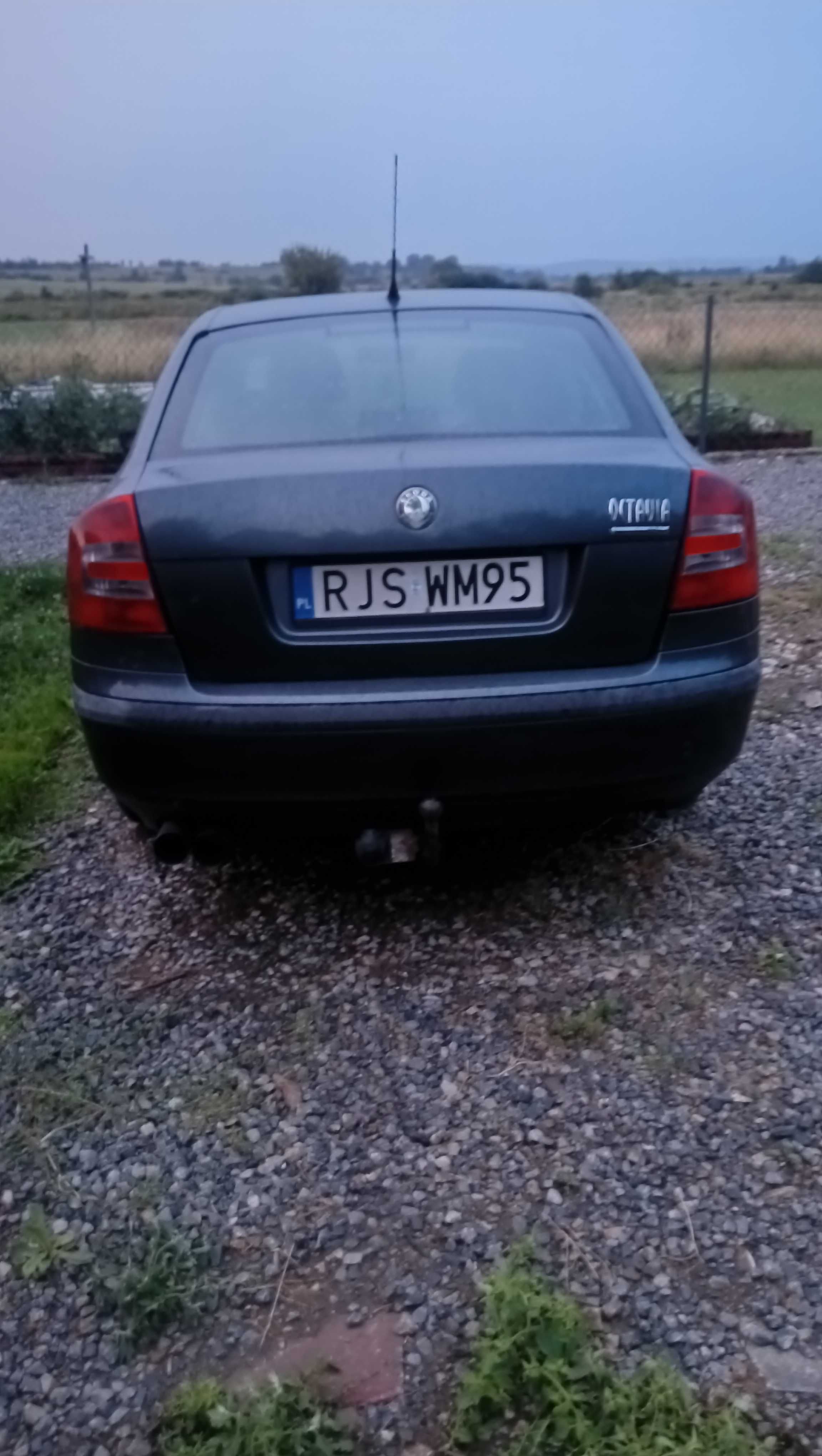 Skoda octavia II 1.9 TDI