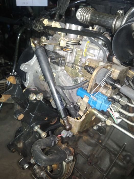 Motor 1.9d Wjz WjY PSA Peugeot citroen fiat Bomba Delphi / Lucas