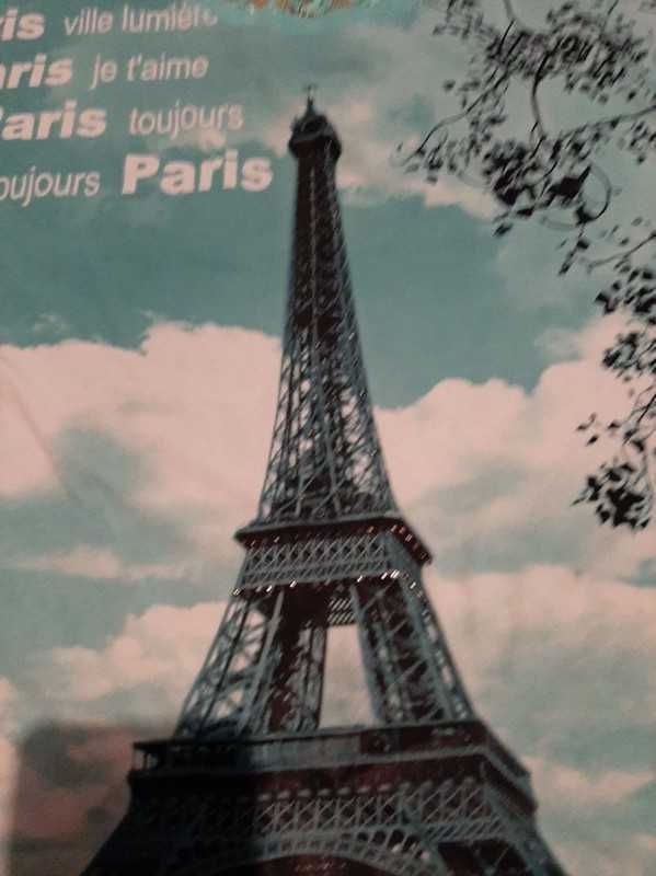 Koszulka Wieza paris