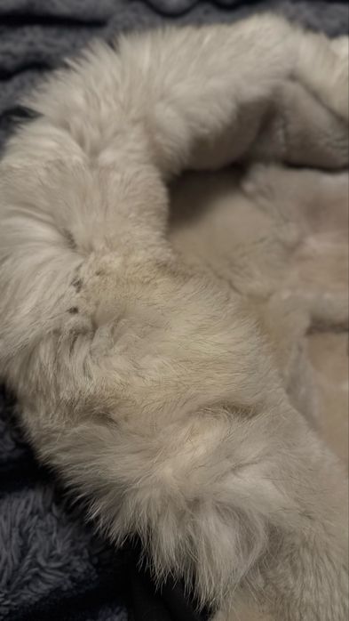 Жіноча дублянка з натуральної овчини (Real Lambskin, 100% шкіра)