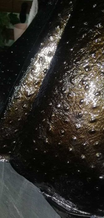 Кожа теснение страуса