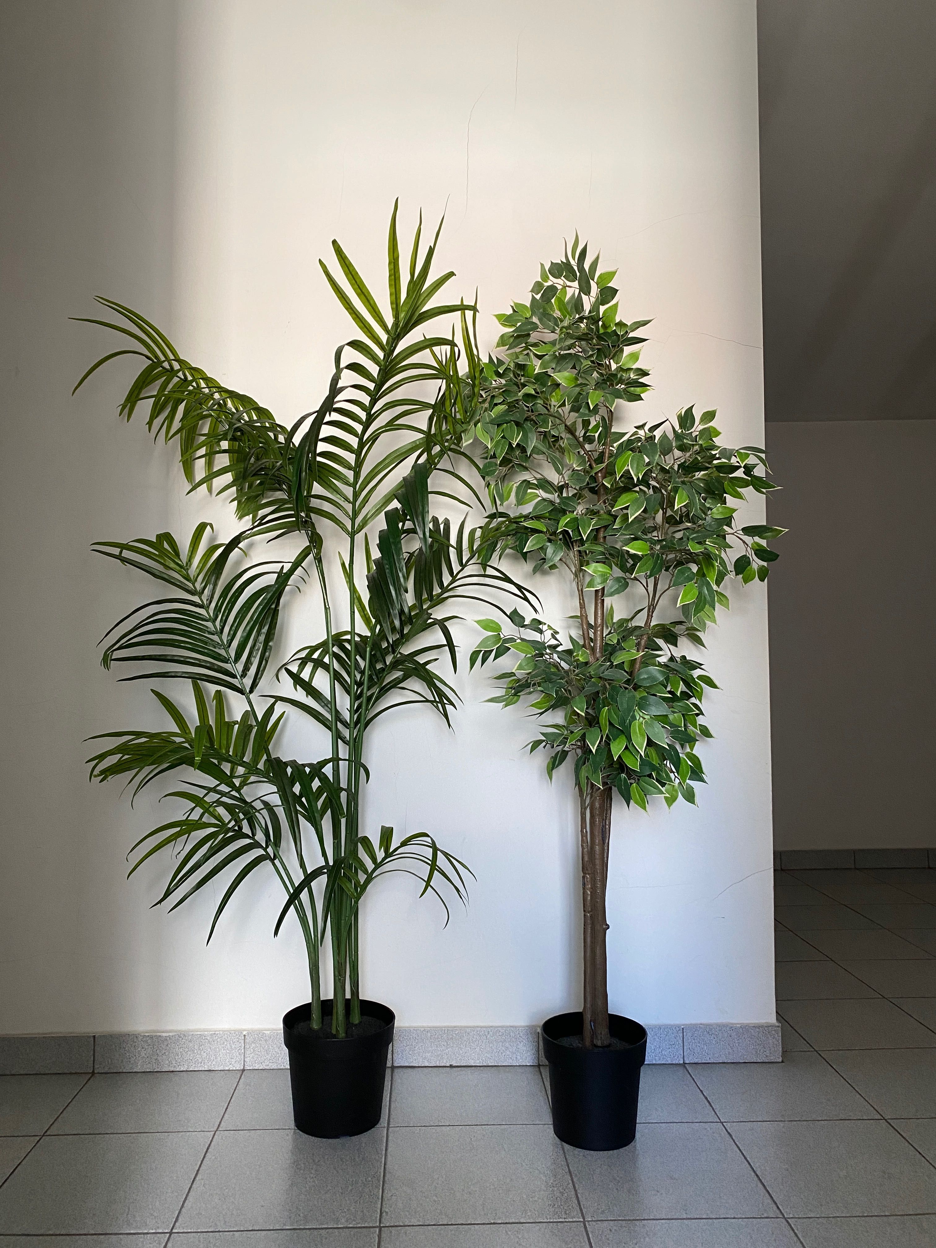 Plantas artificiais em excelente estado
