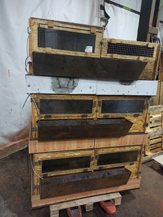 Брудера для циплят