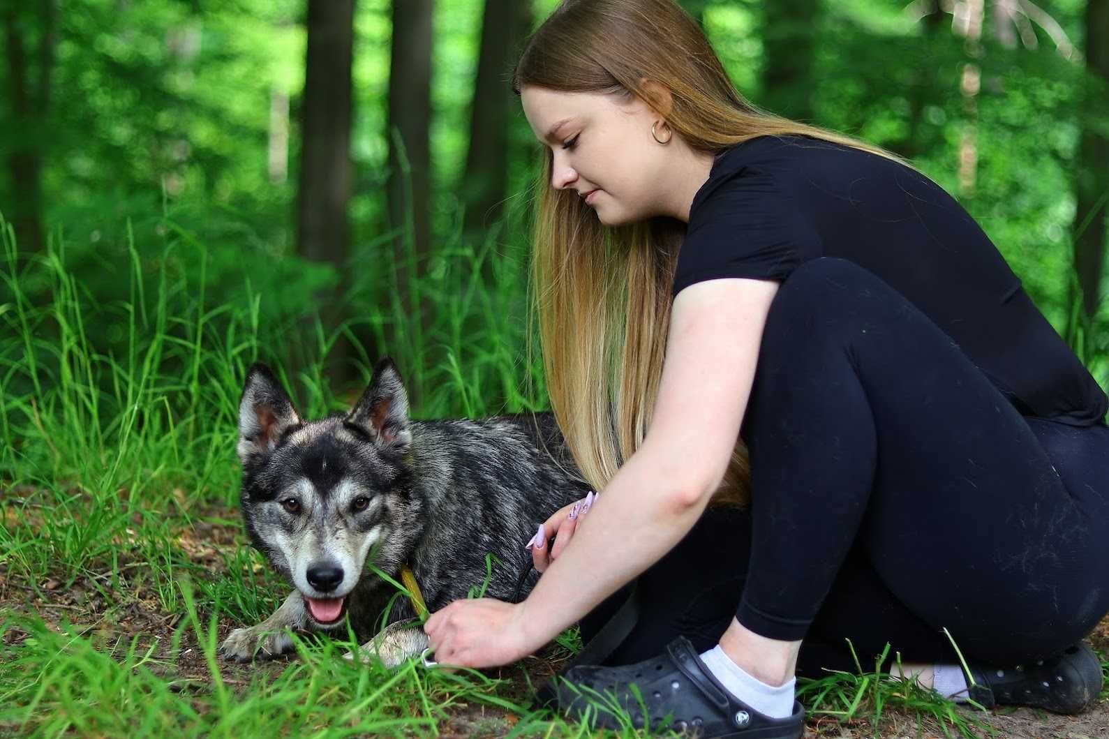 ASTRID - 1,5-roczna, 18kg, łagodna, radosna, kocha psy