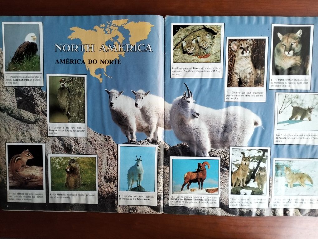 Caderneta Animals of the World' Panini