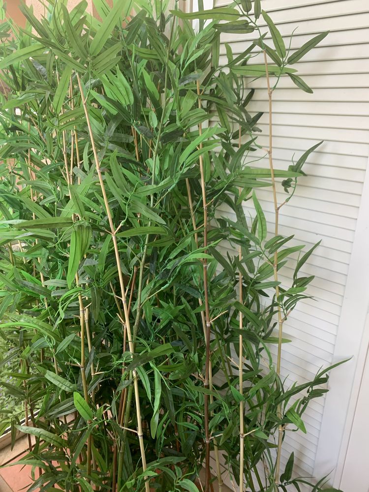 Bambu artificial