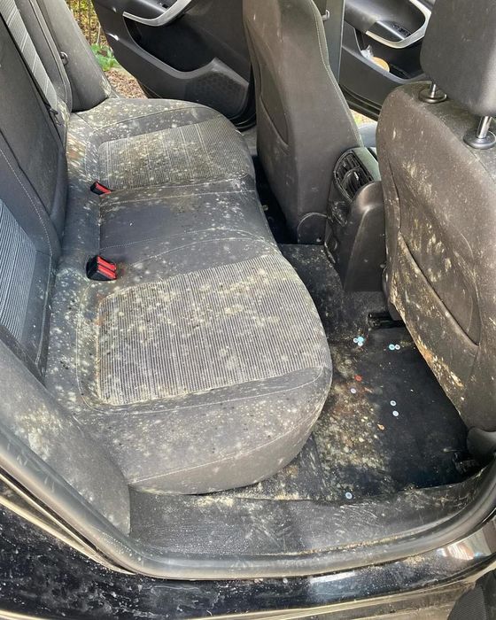 Usuwanie/wyciągania wgnieceń bez lakierowania PDR,Detailing,FoliePPF